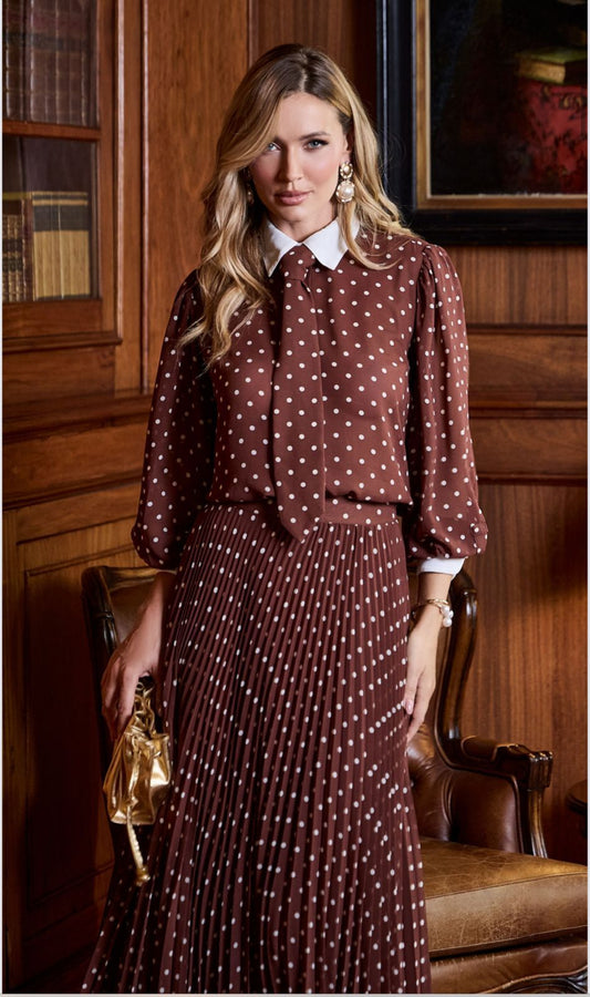 CONJUNTO LUZIA FAZZOLLI CHIFF PLISSADO POA MARROM