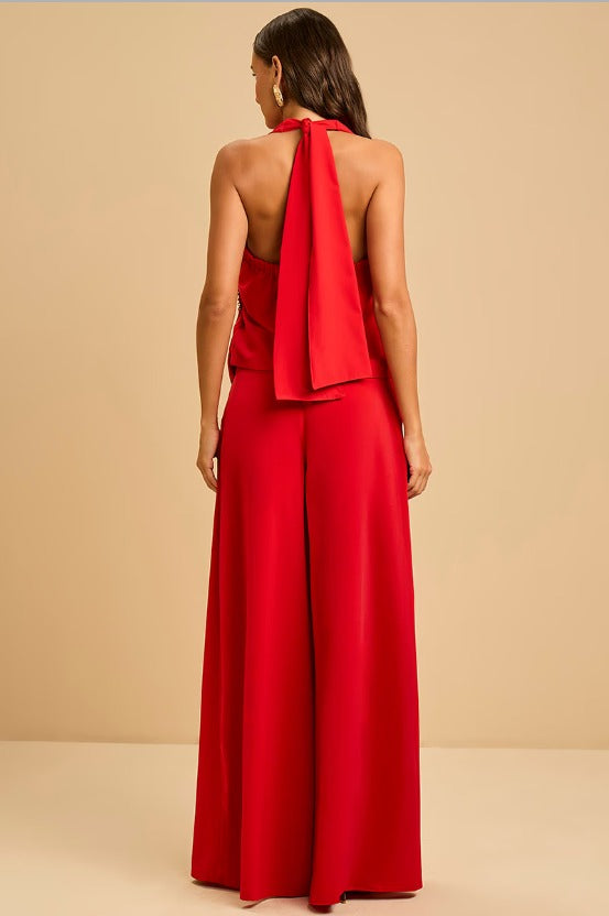 CONJUNTO LULEG FLUIDO DET METAL VERMELHO